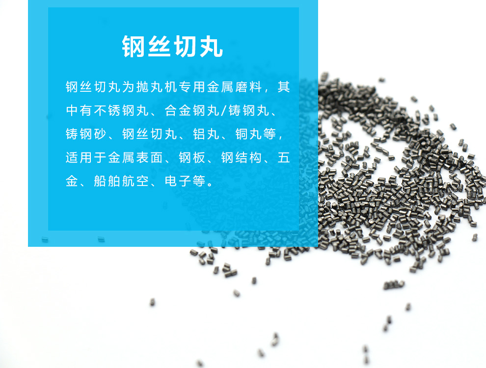 江蘇拋丸機除銹設(shè)備 1 鋼絲切丸 1